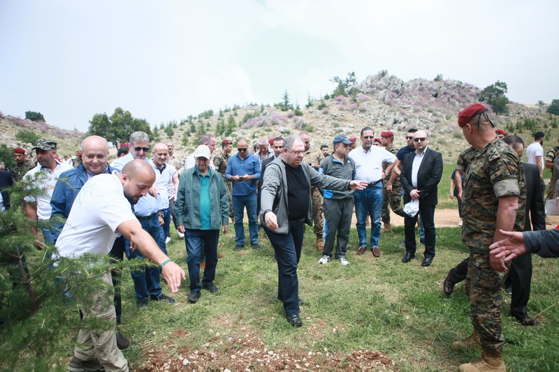 Cedar tree in memory of the Lebanese Commandos Regiment founder